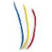 ВЪЖЕ ЗА WIND SURF